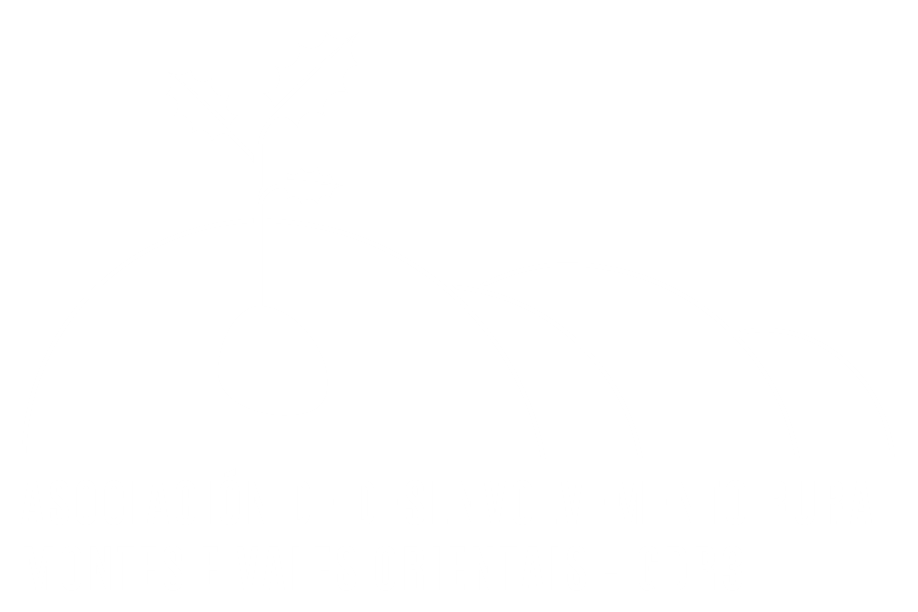 Asociación Montes e Vales Orientais