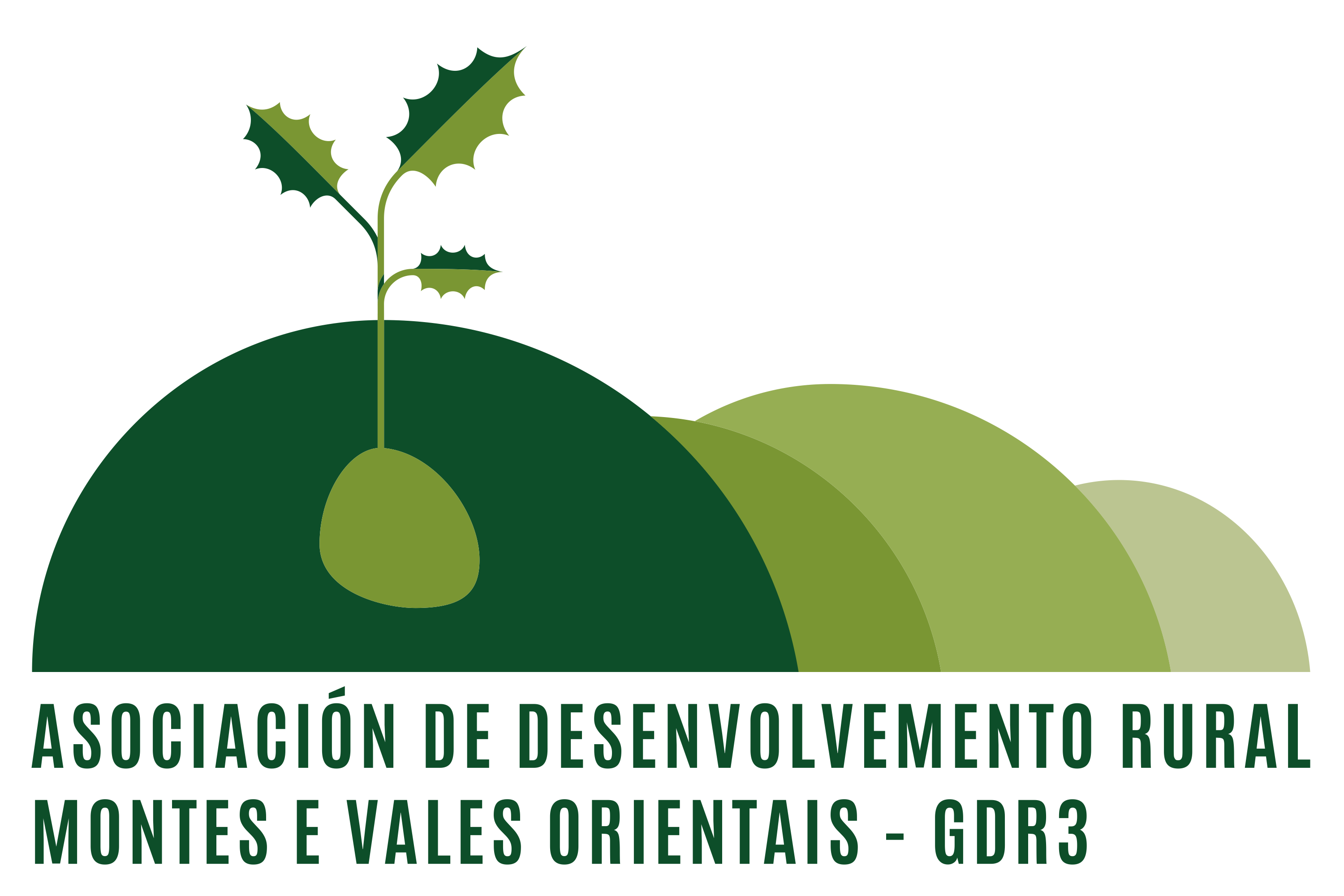 Asociación Montes e Vales Orientais